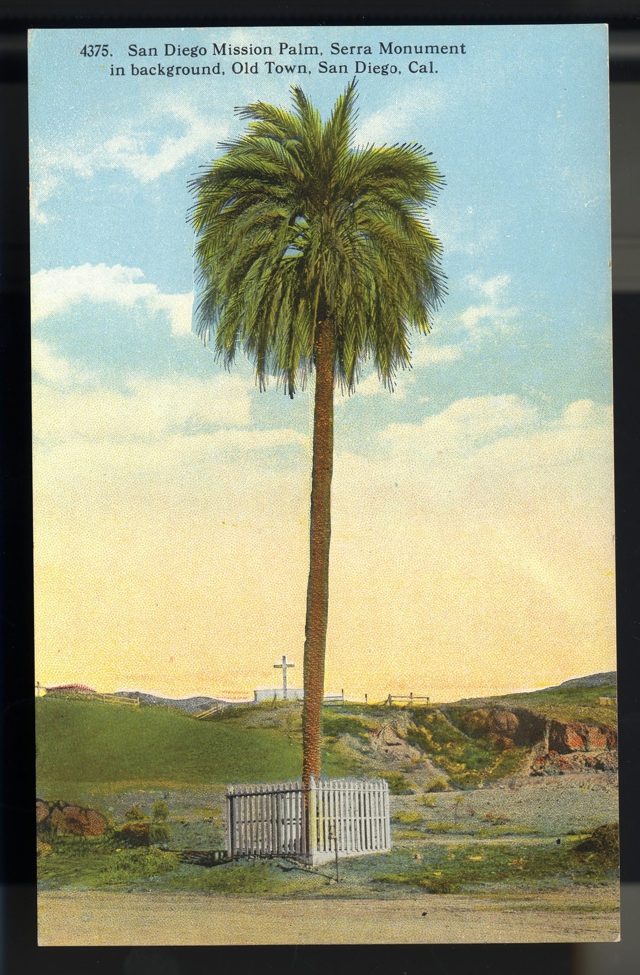 Postcard 03 – San Diego Mission Palm, Serra Monument in background, Old Town, San Diego, Cal. H. L. Christiance Company. ca 1915. NMAH 1986.0639.0672.